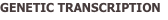 shapeimage_2_link_15