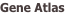 shapeimage_5_link_12